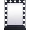 Blueprints Brenda 24 by 32 in. Plug in LED 5000K Mirror Black BL2955395